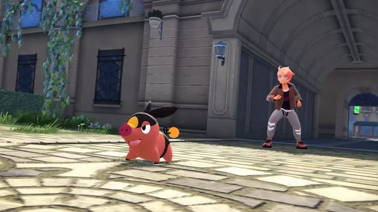 ポケモンZA_ポカブ