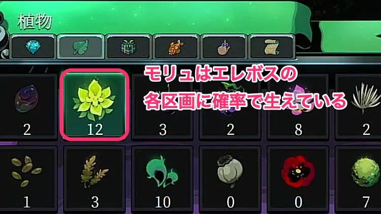 ハデス2_モリュ