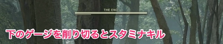 スタミナキル