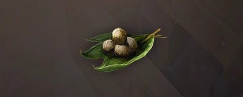 兵糧丸_砂影の計略_ダフネ