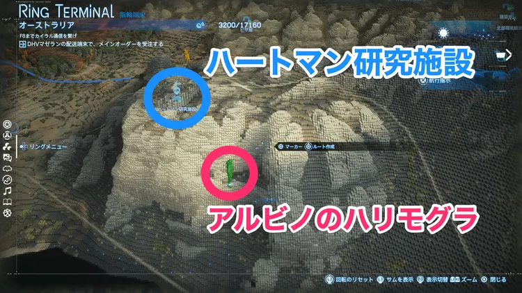 デススト_アルビノハリモグラ_マップ