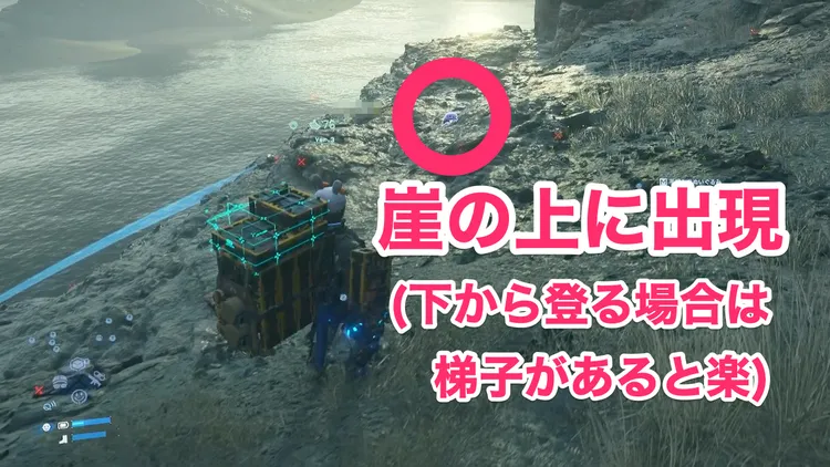 デススト_アルビノハリモグラ_周辺