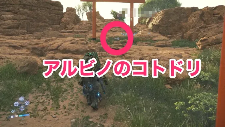 デススト2_アルビノコトドリ_周辺_