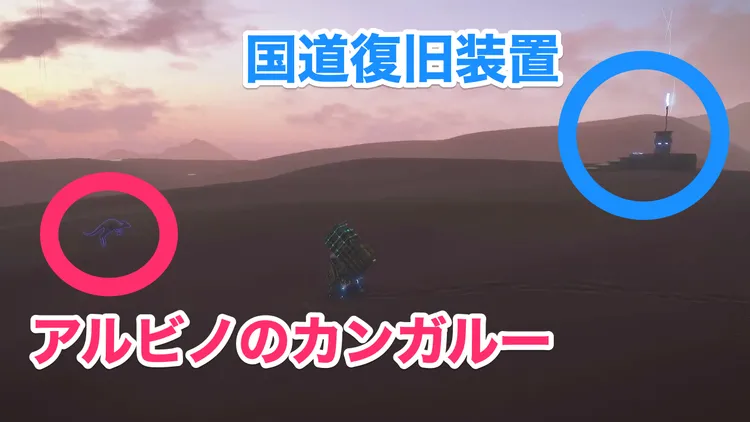 デススト_アルビノ_周辺