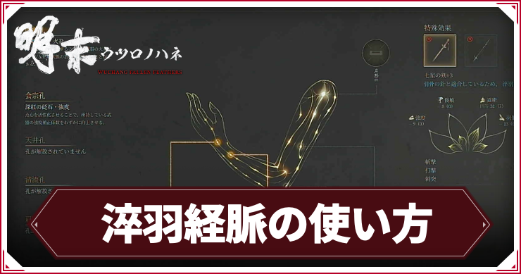 淬羽経脈_アイキャッチ