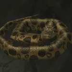 メタルギアソリッドデルタ_オオアナコンダ_アイコン