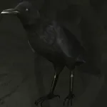 メタルギアソリッドデルタ_スンダルリチョウ_アイコン