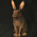 メタルギアソリッドデルタ_アナウサギ_アイコン