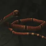 メタルギアソリッドデルタ_サンゴヘビ_アイコン