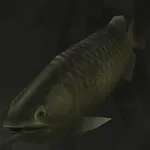 メタルギアソリッドデルタ_アロワナ_アイコン