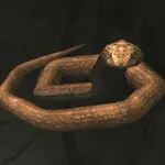 メタルギアソリッドデルタ_タイコブラ_アイコン