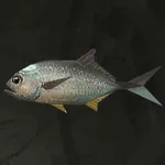 メタルギアソリッドデルタ_ギンガメアジ_アイコン