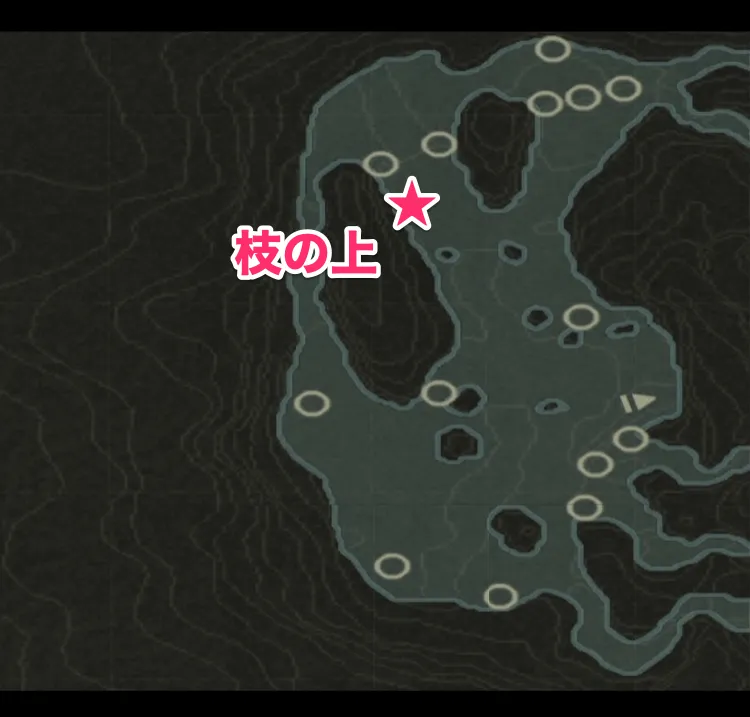 メタルギア3_オウム_ソクロヴィエノ_西部