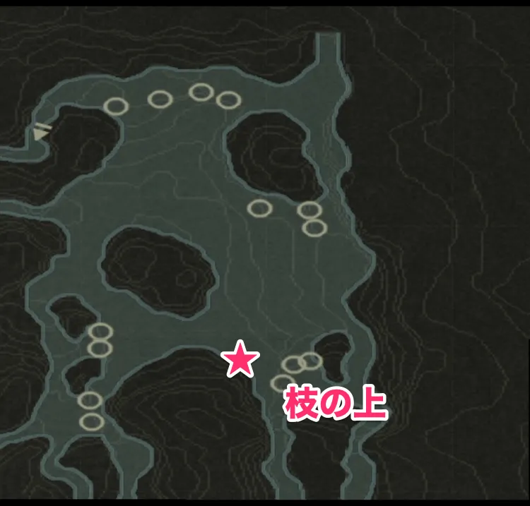 メタルギア3_オウム_ソクロヴィエノ_北部