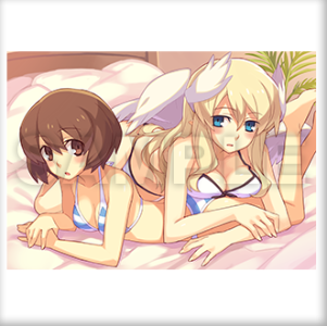 剣と魔法と学園モノ_店舗特典11