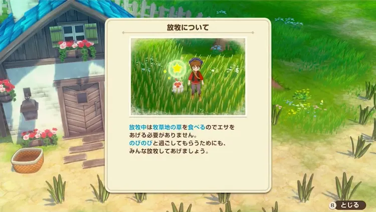 牧場物語グランドバザール_畜産放牧