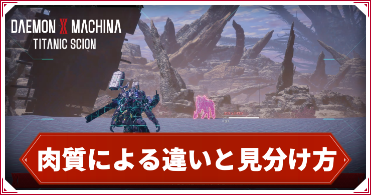 デモエクTS_肉質_アイキャッチ