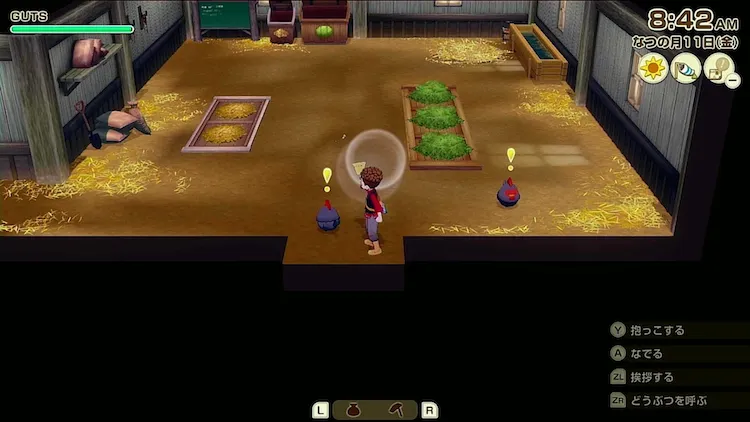 牧場物語グランドバザール_どうぶつ品評会スキンシップ