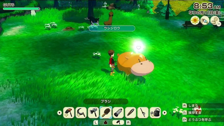 牧場物語グランドバザール_どうぶつ品評会放牧