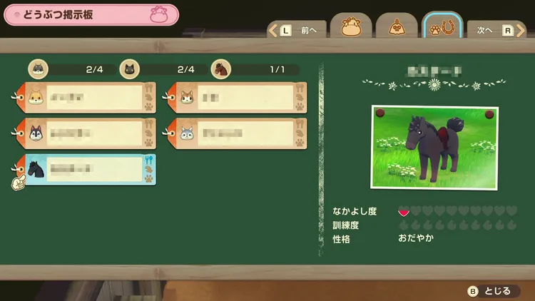 牧場物語_ペット