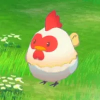 牧場物語_アイコン_鶏