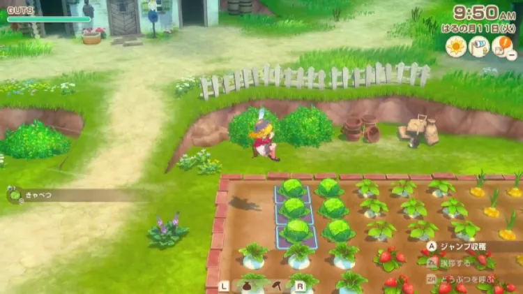 牧場物語グランドバザール_収穫