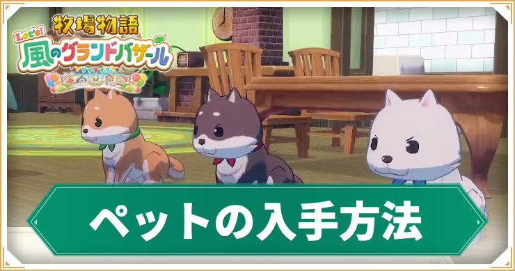 【牧場物語グランドバザール】ペットの入手方法と出来る事