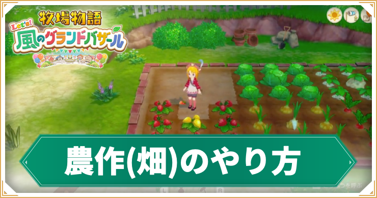 牧場物語グランドバザール_農作のやり方_アイキャッチ