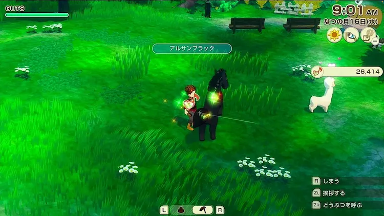 牧場物語グランドバザール_乗馬大会お世話