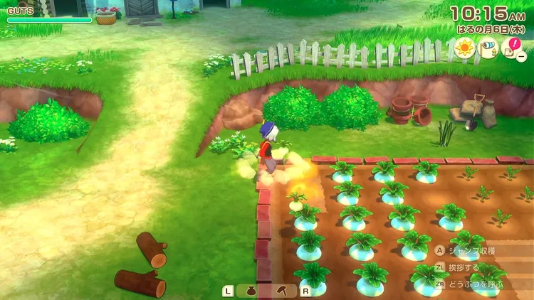 牧場物語_序盤_かぶ量産