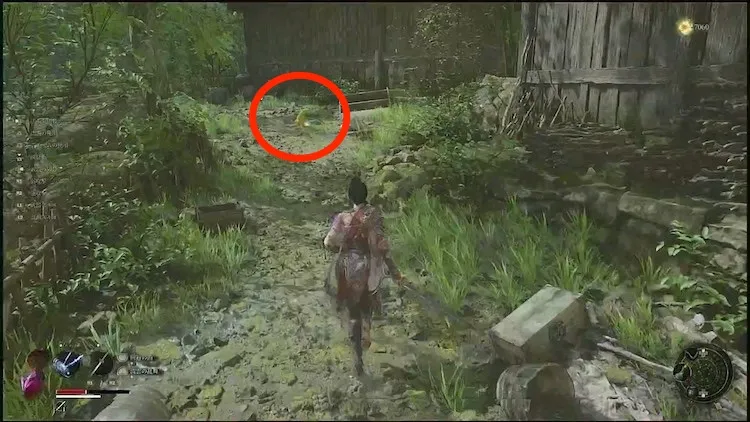 ウツロノハネ_タケノコの妖精_3