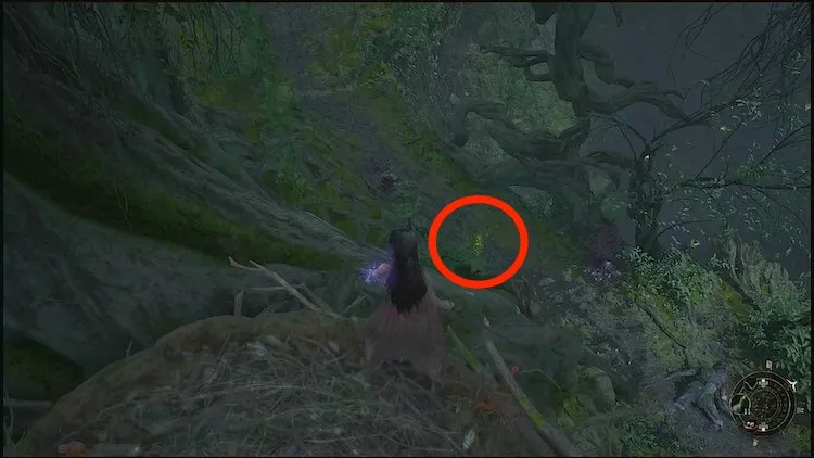 ウツロノハネ_タケノコの妖精_11