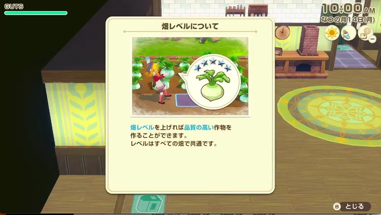 牧場物語_畑品質