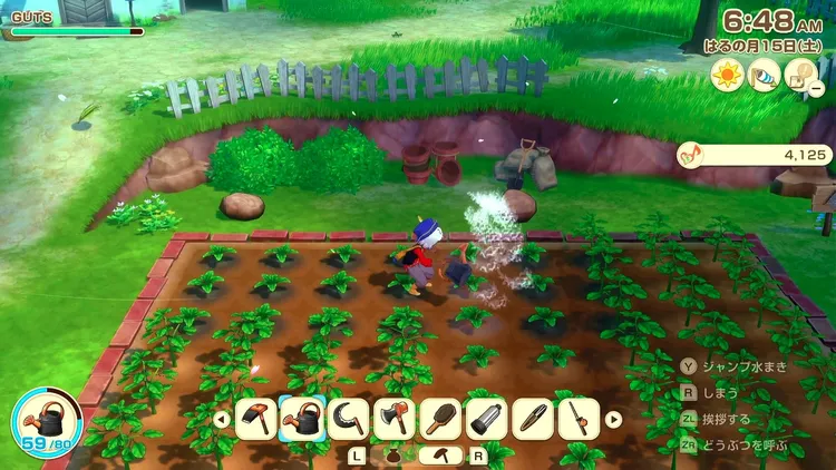 牧場物語_毎日やるべきこと_農作物