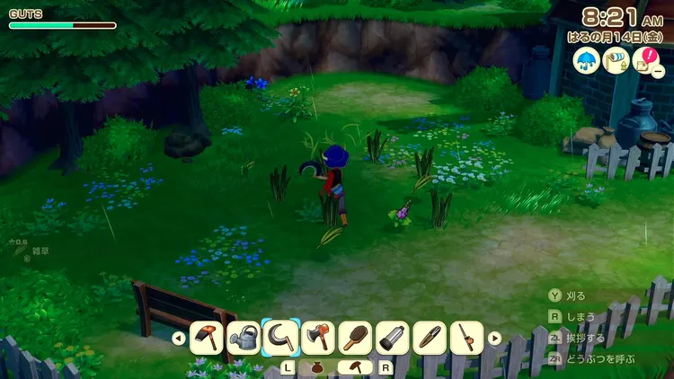 牧場物語_毎日やるべきこと_採取