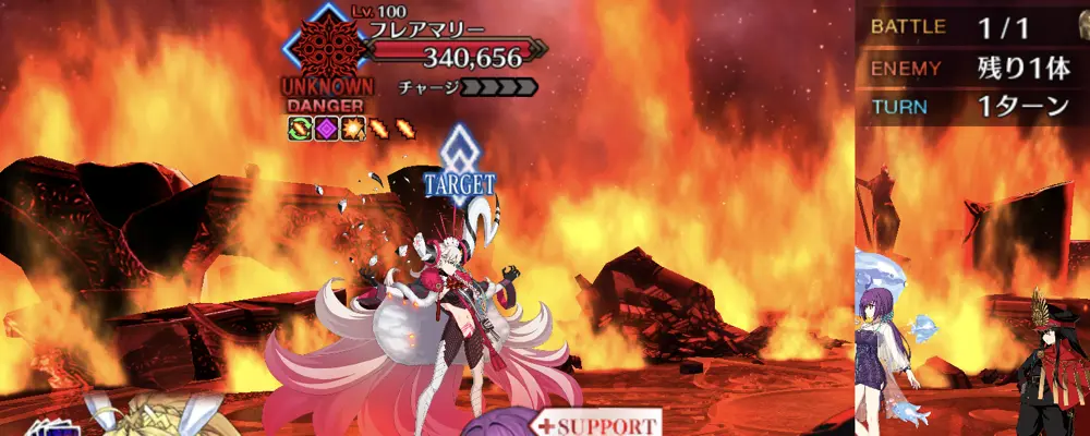 フレアマリー100