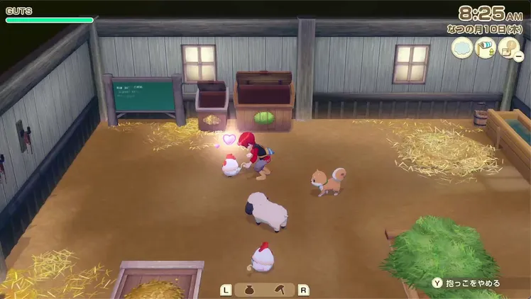 牧場物語_にわとり