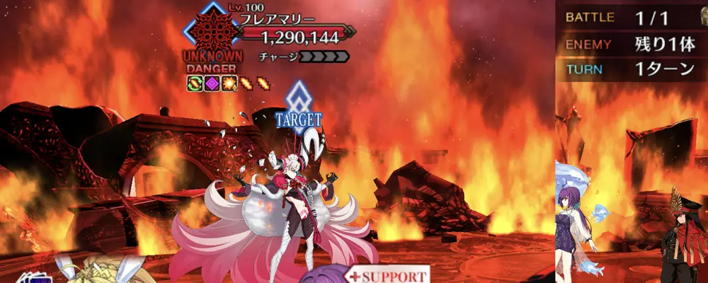 フレアマリー100星