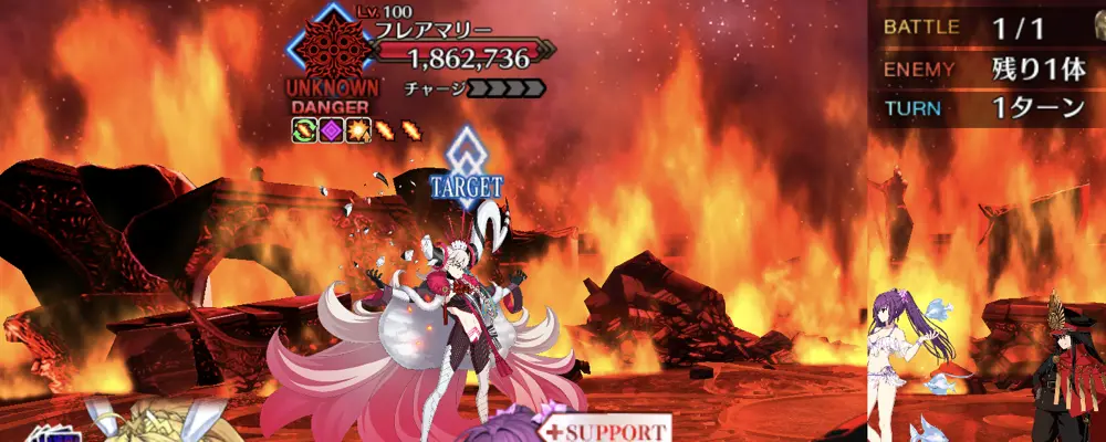 フレアマリー100星星