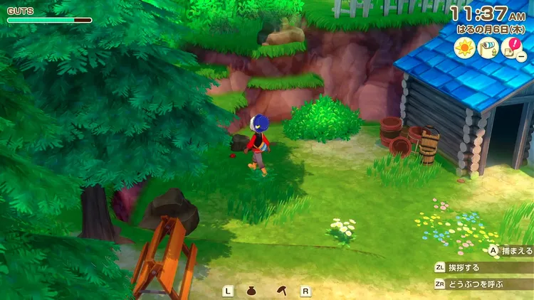 牧場物語_虫取り_歩き