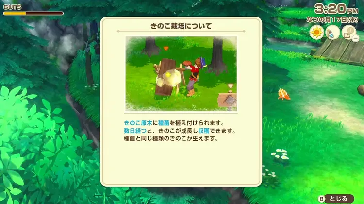 牧場物語_きのこ