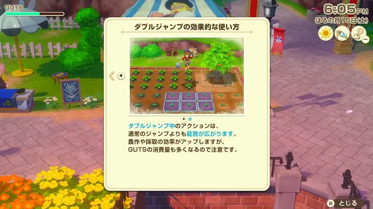 牧場物語_極意 21.27.13