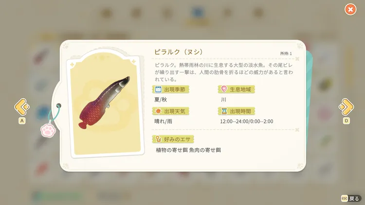 SSI_ピラルク図鑑
