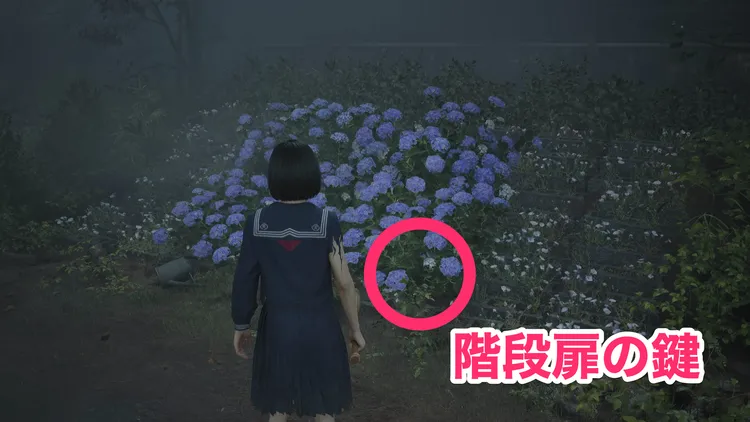 階段扉難関_周辺