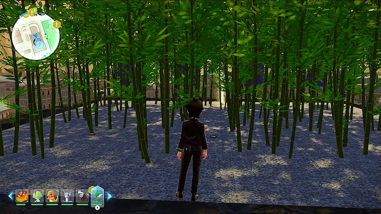 ポケモンZA_りゅうのはどう_フィールド入手_ブルー4番地_周辺