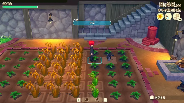 牧場物語_スプリンクラー２