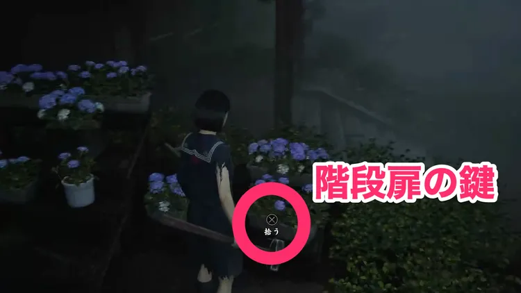 階段五里霧中_周辺