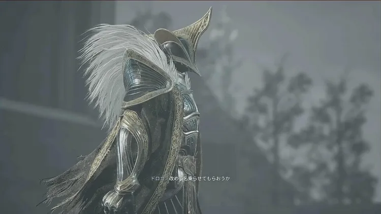 ロストソウルアサイド_ドロゴ_バナー