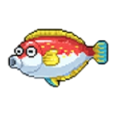 グラカー_アイコン