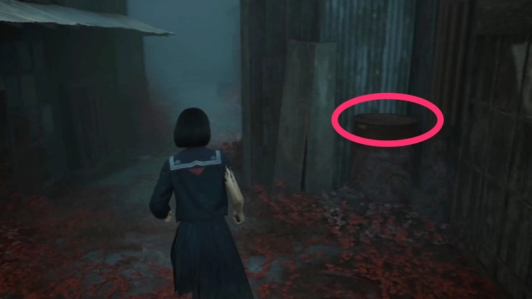 研究手記の写真その3_02